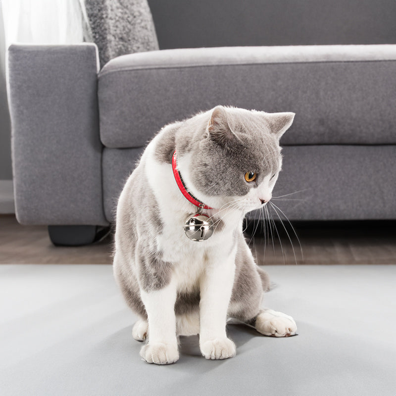Claw Print Bone Alloy Pet Collar Bell for Dogs & Cats