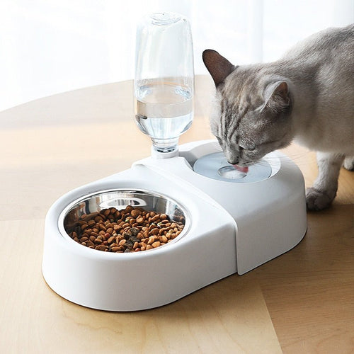 2-in-1 Dog & Cat Feeding Bowl with Automatic Water Refill - Tail Tales