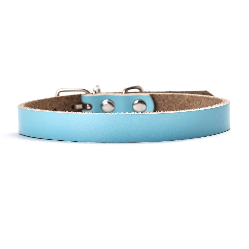 Stylish Leather Dog Collar