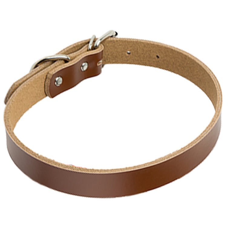 Stylish Leather Dog Collar