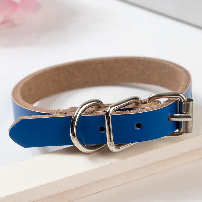 Stylish Leather Dog Collar