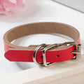 Stylish Leather Dog Collar