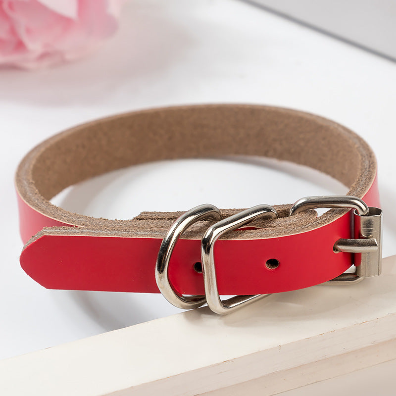Stylish Leather Dog Collar