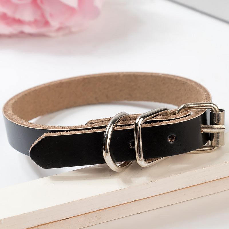 Stylish Leather Dog Collar