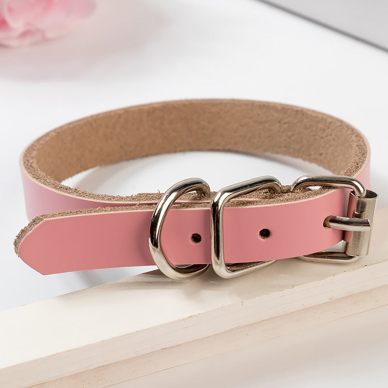 Stylish Leather Dog Collar