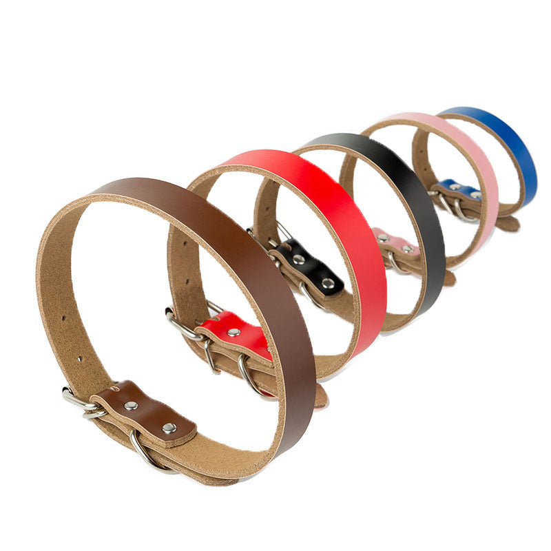 Stylish Leather Dog Collar