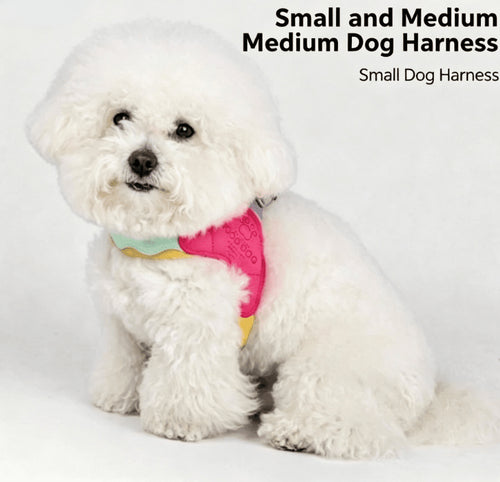 Adjustable Anti - Escape Pet Harness - Tail Tales