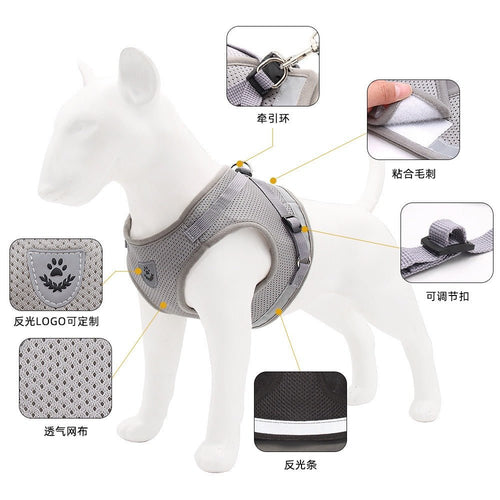 Adjustable dog strap - Tail Tales