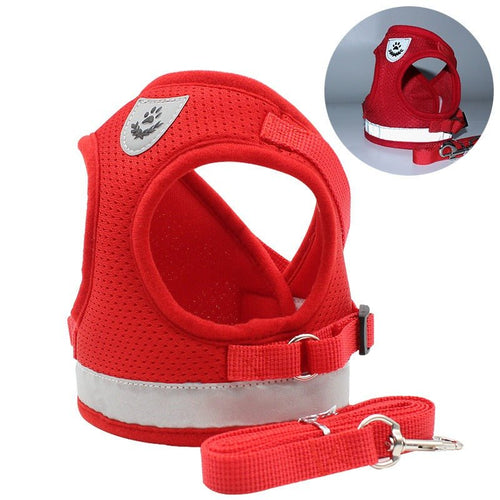 Adjustable dog strap - Tail Tales