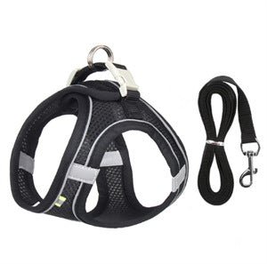 Adjustable Reflective Breathable Mesh Pet Harness for Cats and Dogs with Leash for Outdoor Use - Tail Tales