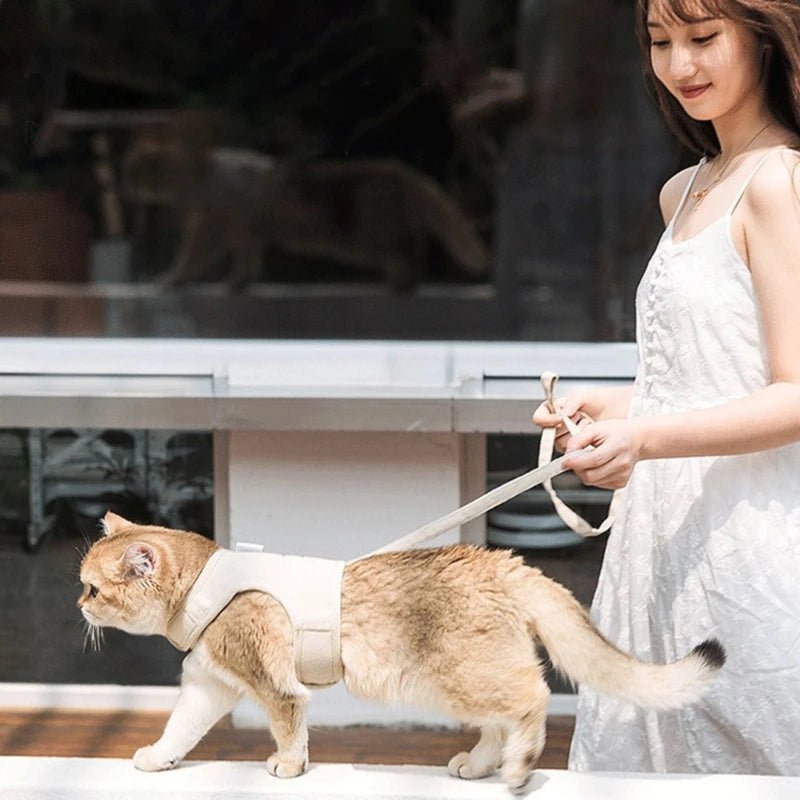 Cat Chest Back Harness Leash Adjustable Length Pet Traction Cat Dog Traction Rope Collar Cat Harness Belt - Tail Tales