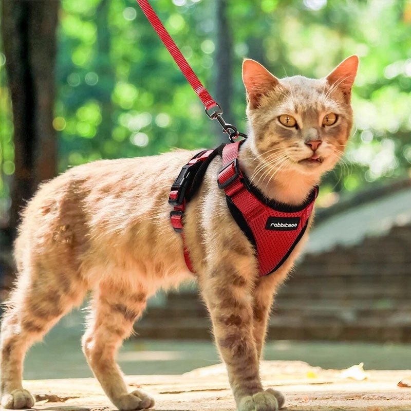 Cat Harness and Leash with Easy Control, Escape-Proof - Soft Adjustable Vest Harness for Walking Cats. - Tail Tales