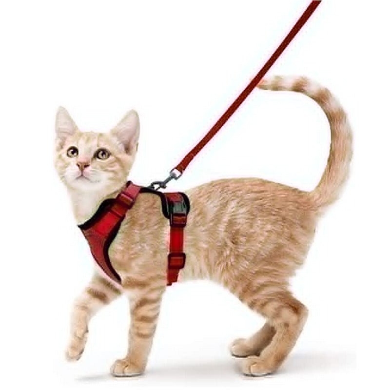Cat Harness and Leash with Easy Control, Escape-Proof - Soft Adjustable Vest Harness for Walking Cats. - Tail Tales