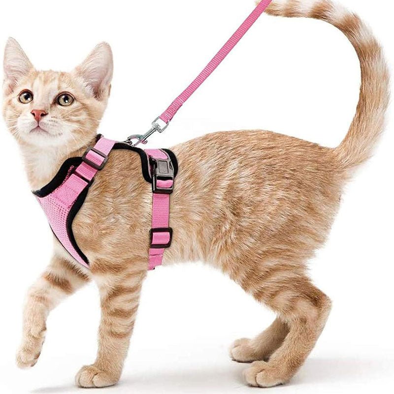 Cat Harness and Leash with Easy Control, Escape-Proof - Soft Adjustable Vest Harness for Walking Cats. - Tail Tales