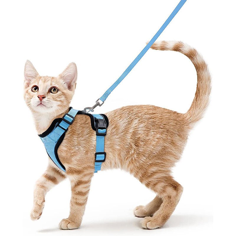 Cat Harness and Leash with Easy Control, Escape-Proof - Soft Adjustable Vest Harness for Walking Cats. - Tail Tales