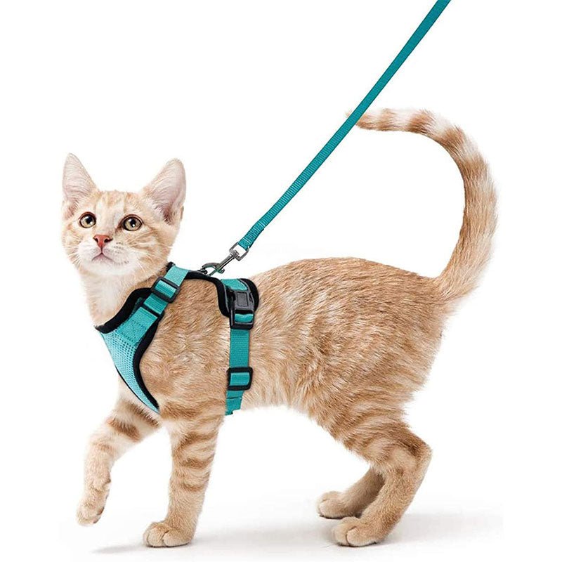 Cat Harness and Leash with Easy Control, Escape-Proof - Soft Adjustable Vest Harness for Walking Cats. - Tail Tales