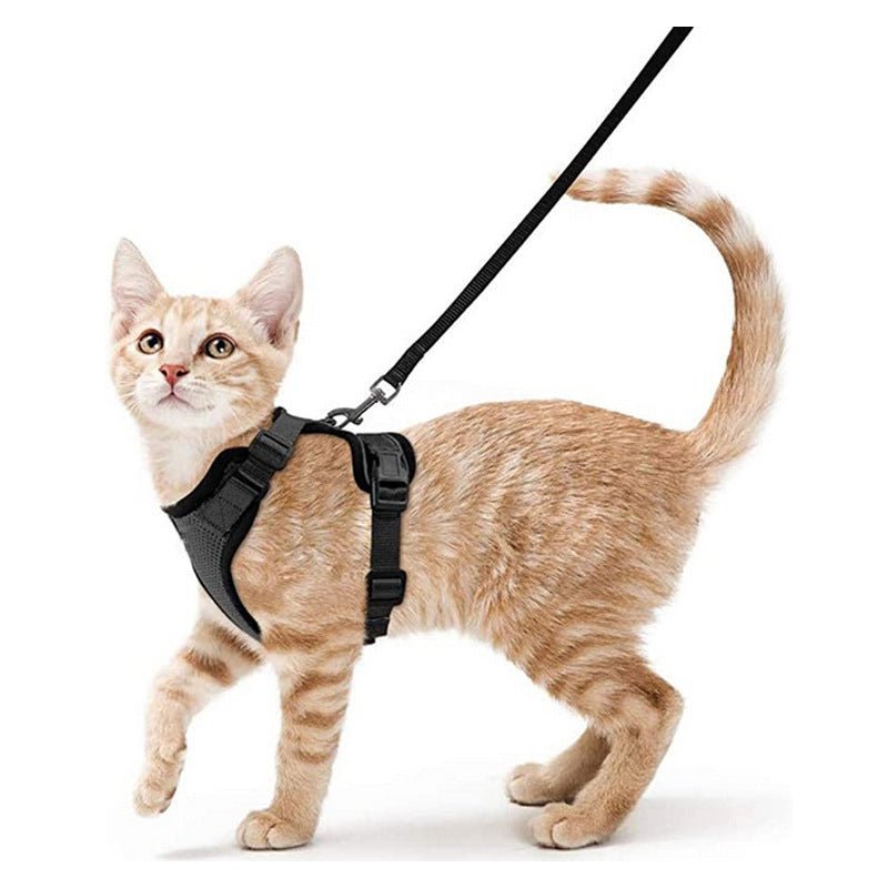 Cat Harness and Leash with Easy Control, Escape-Proof - Soft Adjustable Vest Harness for Walking Cats. - Tail Tales