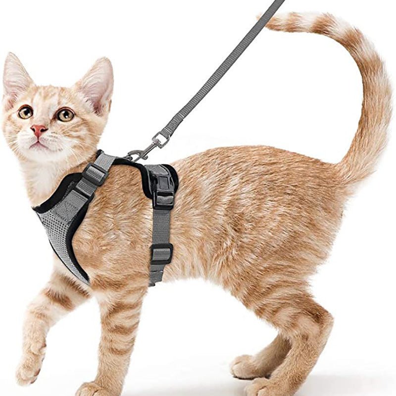 Cat Harness and Leash with Easy Control, Escape-Proof - Soft Adjustable Vest Harness for Walking Cats. - Tail Tales