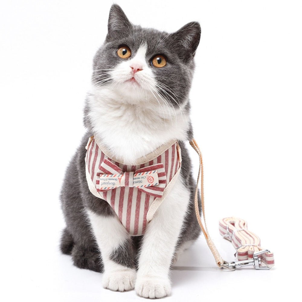 Cute Dog Cat Harness and Leash Set Nylon Mesh Pet Puppy Harness Lead Cat Collar Clothes Vest for Small Cats Kitten Pet Supplies - Tail Tales