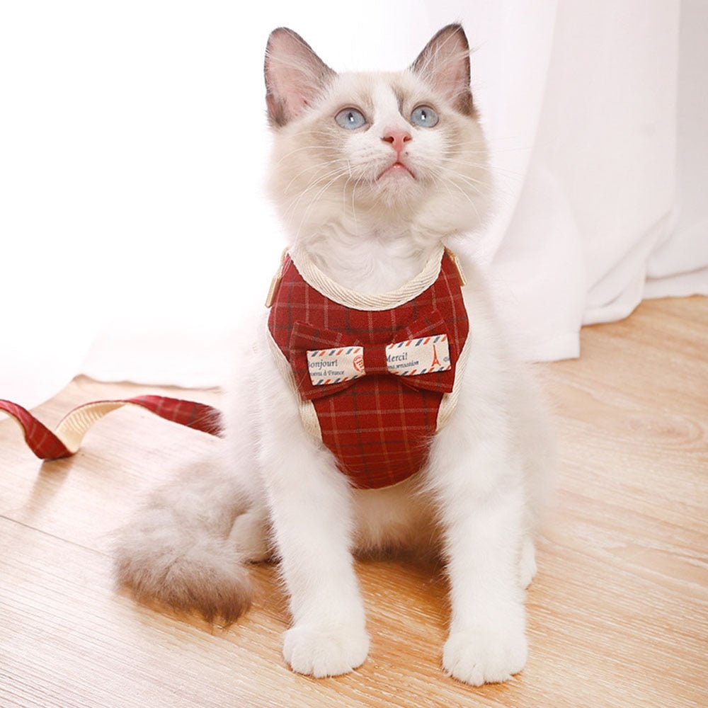 Cute Dog Cat Harness and Leash Set Nylon Mesh Pet Puppy Harness Lead Cat Collar Clothes Vest for Small Cats Kitten Pet Supplies - Tail Tales