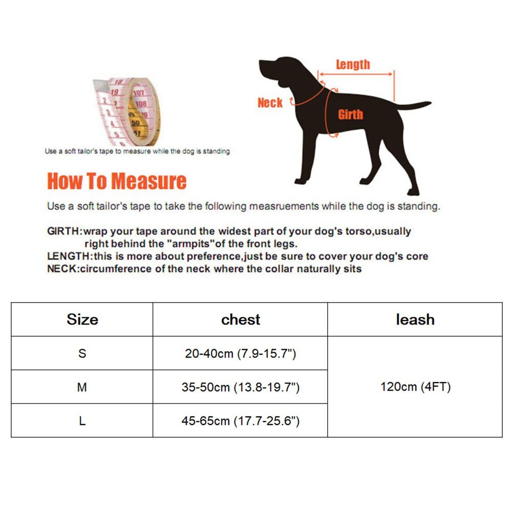 Cute Dog Cat Harness and Leash Set Nylon Mesh Pet Puppy Harness Lead Cat Collar Clothes Vest for Small Cats Kitten Pet Supplies - Tail Tales