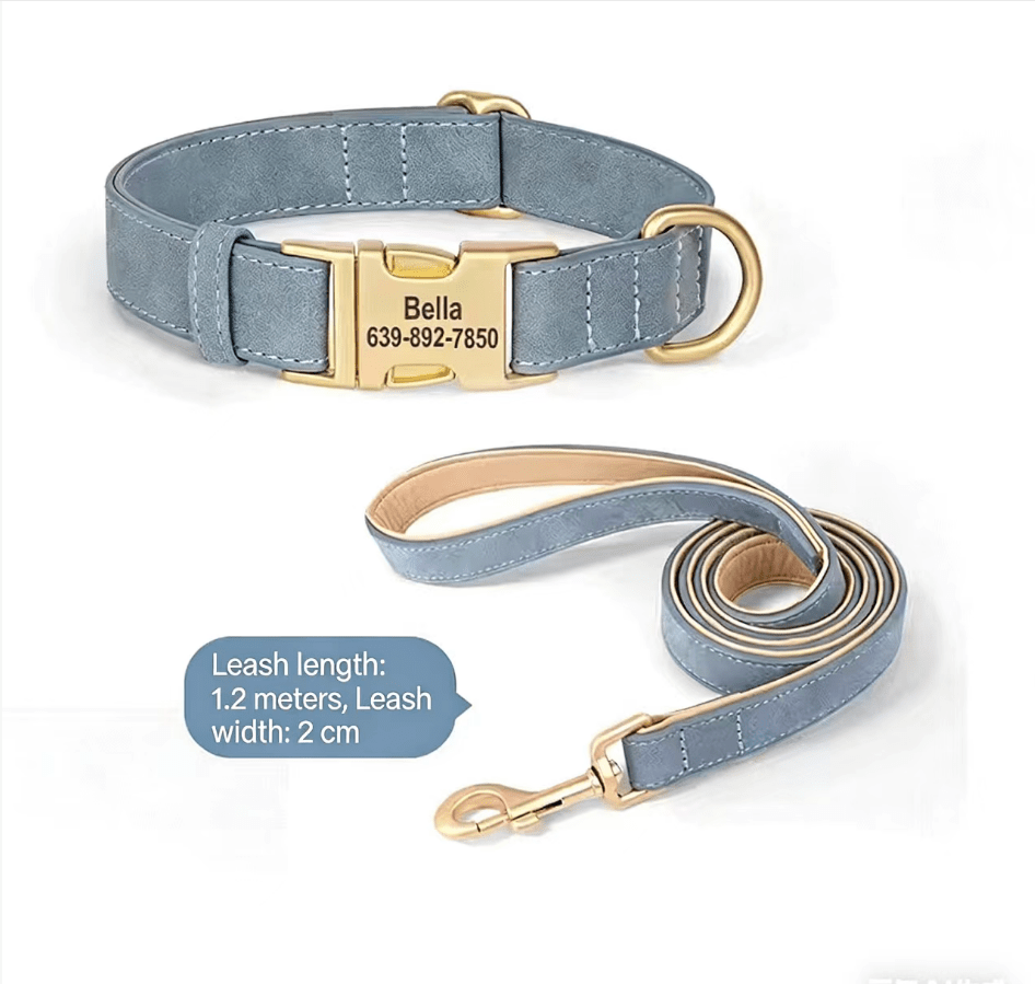 Dog Collar Lettering Teddy Bears Dog Collar Small Dog Going Out Neck Ring corgi Pet Neck Ring Dog Neck Ring - Tail Tales