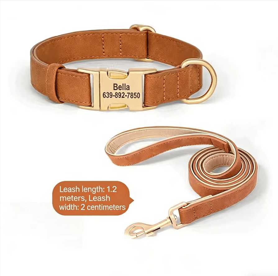 Dog Collar Lettering Teddy Bears Dog Collar Small Dog Going Out Neck Ring corgi Pet Neck Ring Dog Neck Ring - Tail Tales