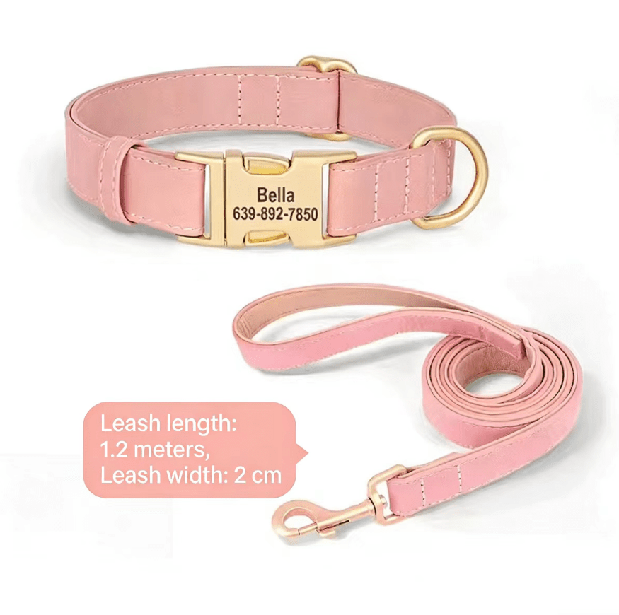 Dog Collar Lettering Teddy Bears Dog Collar Small Dog Going Out Neck Ring corgi Pet Neck Ring Dog Neck Ring - Tail Tales