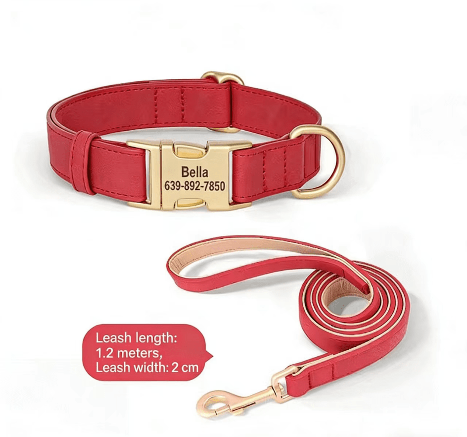 Dog Collar Lettering Teddy Bears Dog Collar Small Dog Going Out Neck Ring corgi Pet Neck Ring Dog Neck Ring - Tail Tales