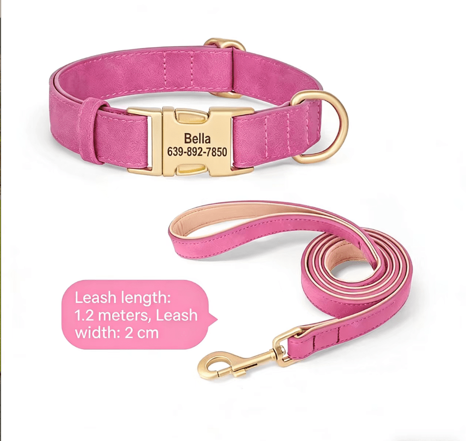 Dog Collar Lettering Teddy Bears Dog Collar Small Dog Going Out Neck Ring corgi Pet Neck Ring Dog Neck Ring - Tail Tales