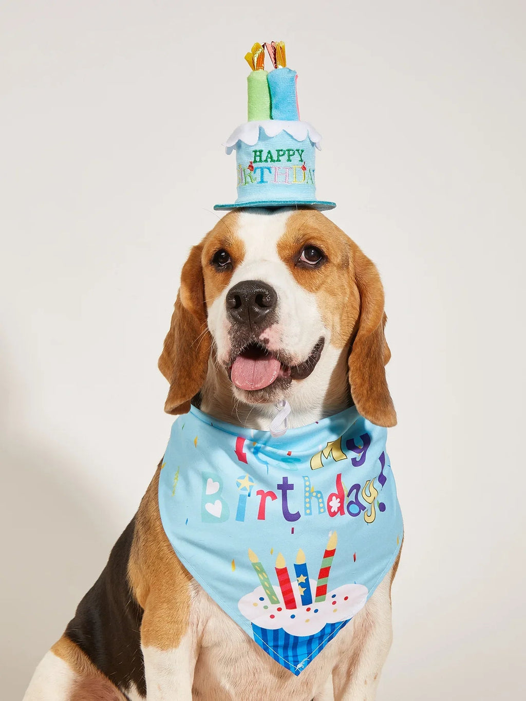 Dog Happy Birthday Decoration Dog Costume Hats Bowknot Bandana Neckerchief Bibs Banners Party Cat Dog Pets Accessories Perros - Tail Tales