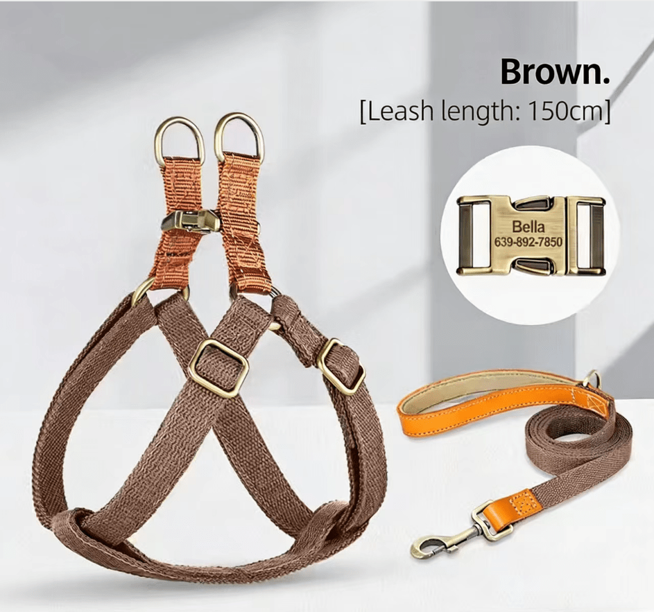 Dog Harness & Leash Set - Tail Tales