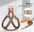 Dog Harness & Leash Set - Tail Tales