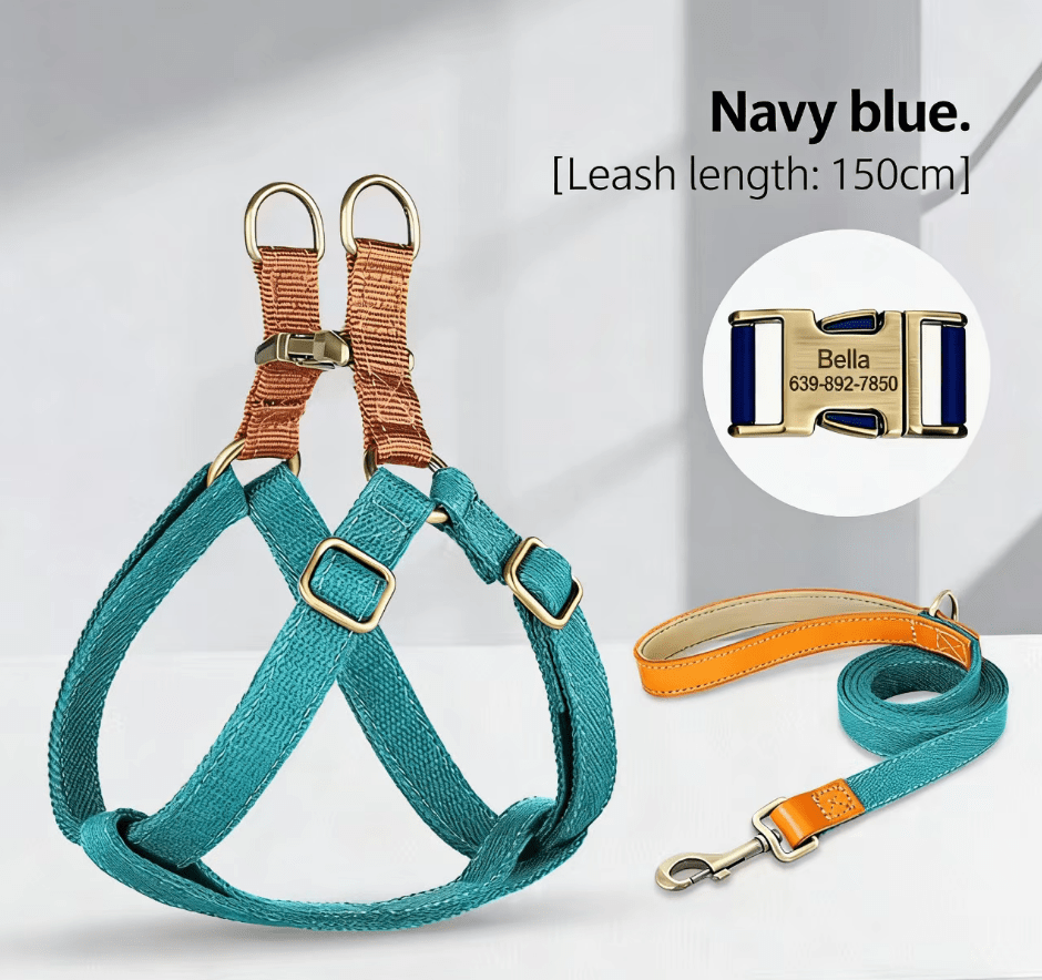 Dog Harness & Leash Set - Tail Tales