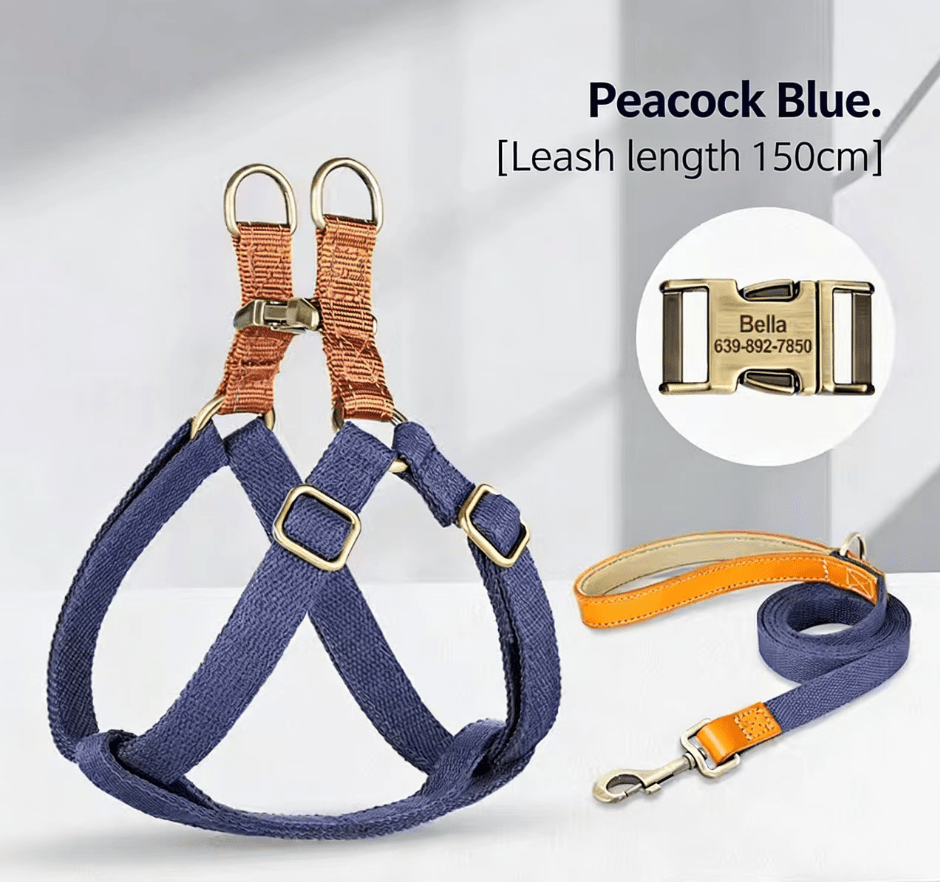 Dog Harness & Leash Set - Tail Tales