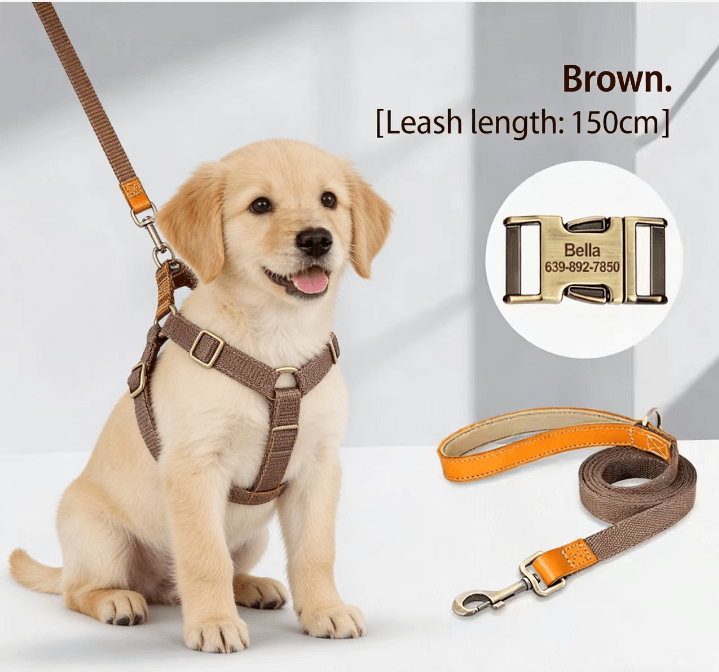Dog Harness & Leash Set - Tail Tales