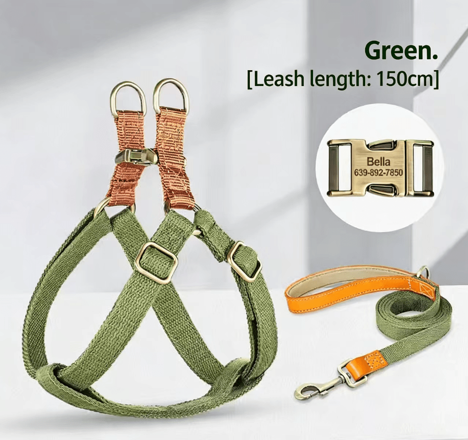 Dog Harness & Leash Set - Tail Tales