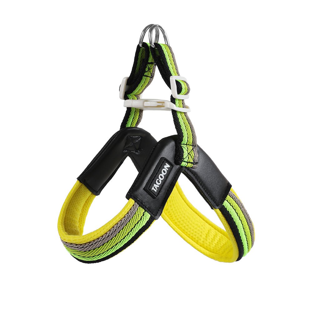 Dog leash chest strap vest style small and medium-sized dog - Tail Tales
