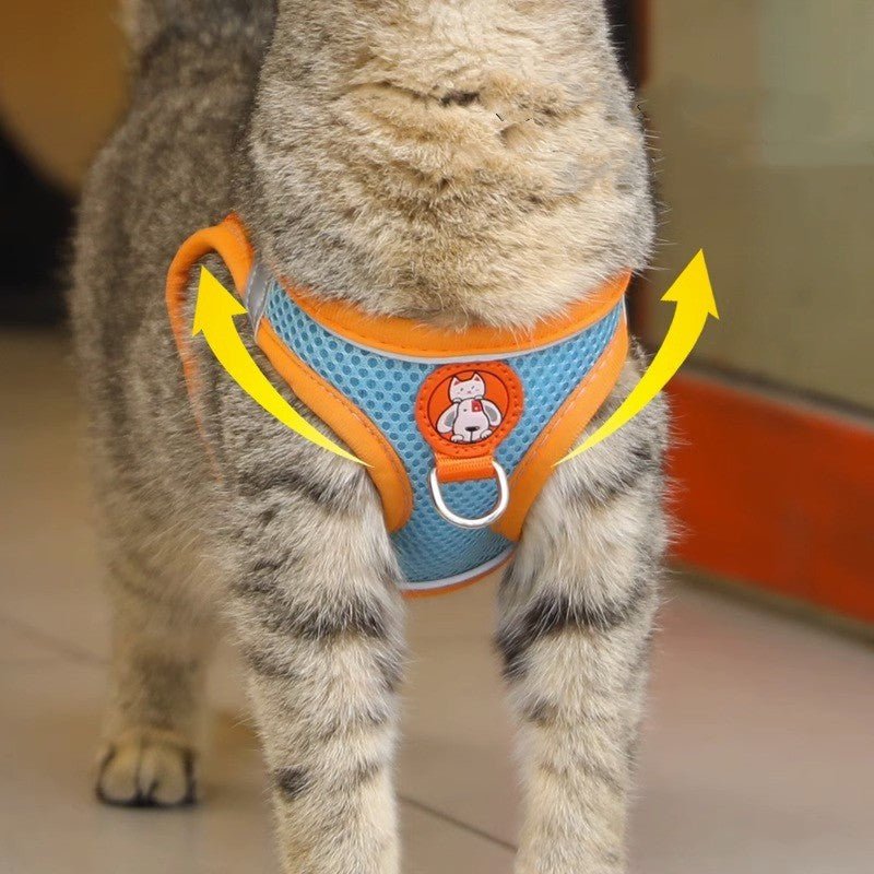Pet dog leash traction rope reflective chest and back dog leash small dog leash cat leash anti loosening not strangling the neck - Tail Tales